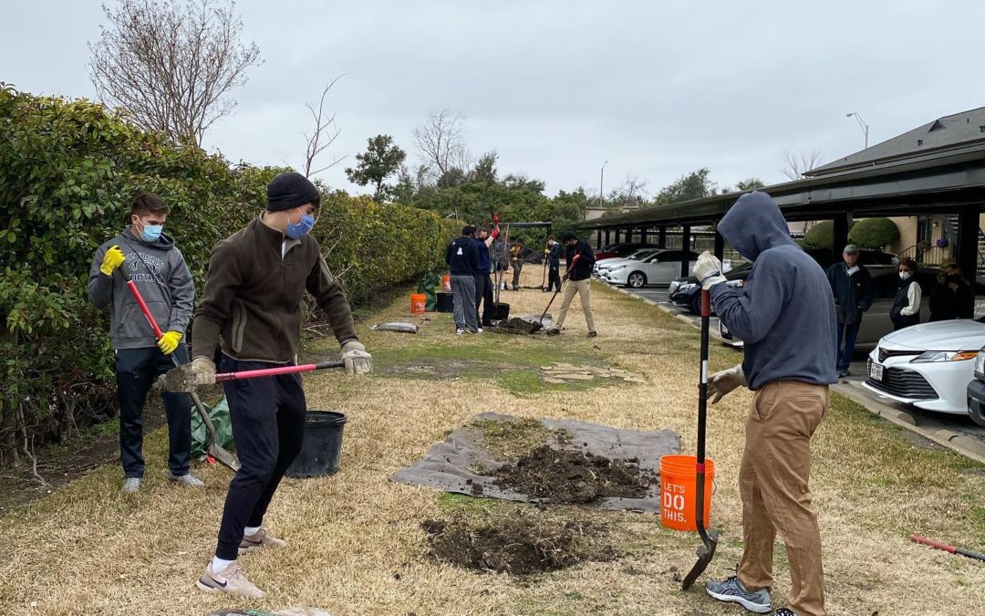 Community Service Plants Trees