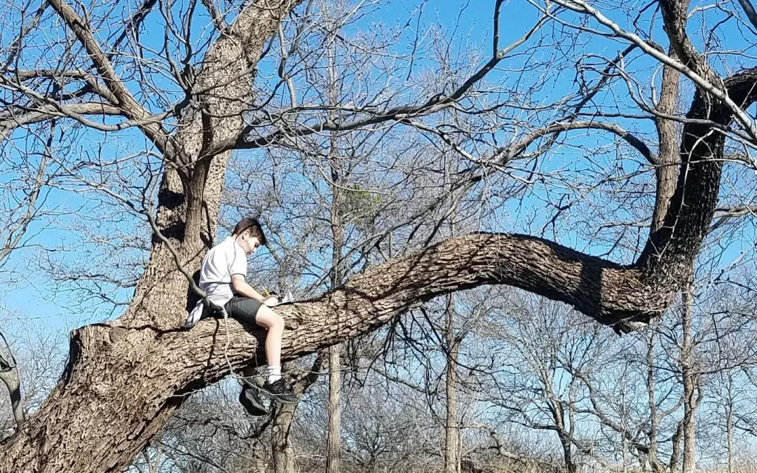 Spring is on its way!