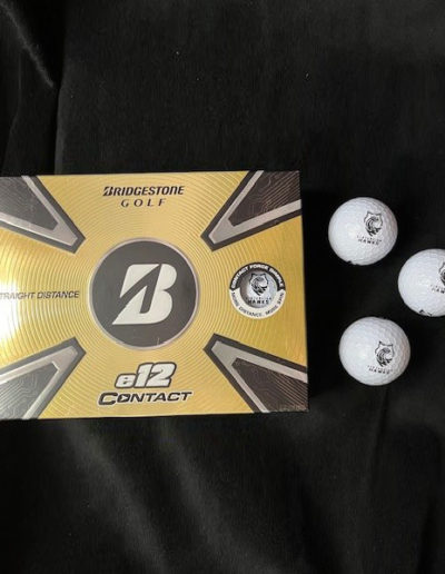 Golf Balls - Dozen $35