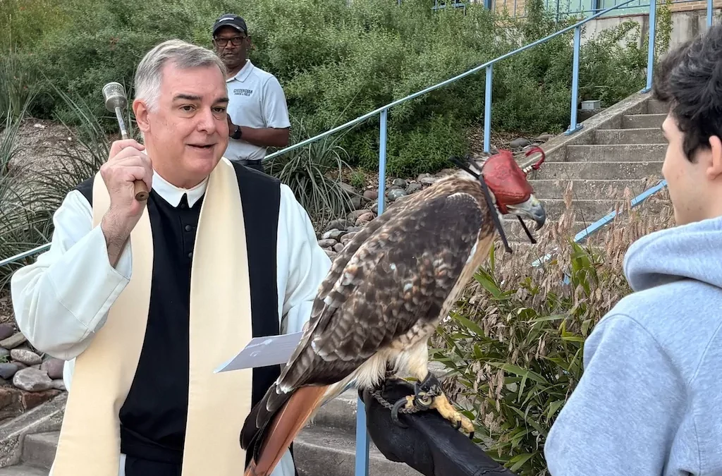 Blessing of the animals