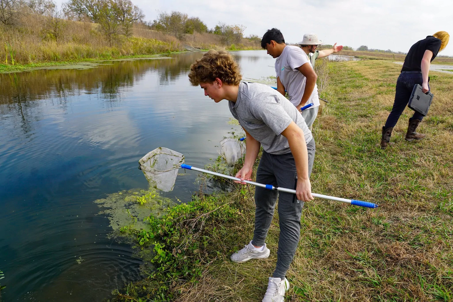 Students use nets to collect samples from a campus pond during an outdoor environmental science activity.