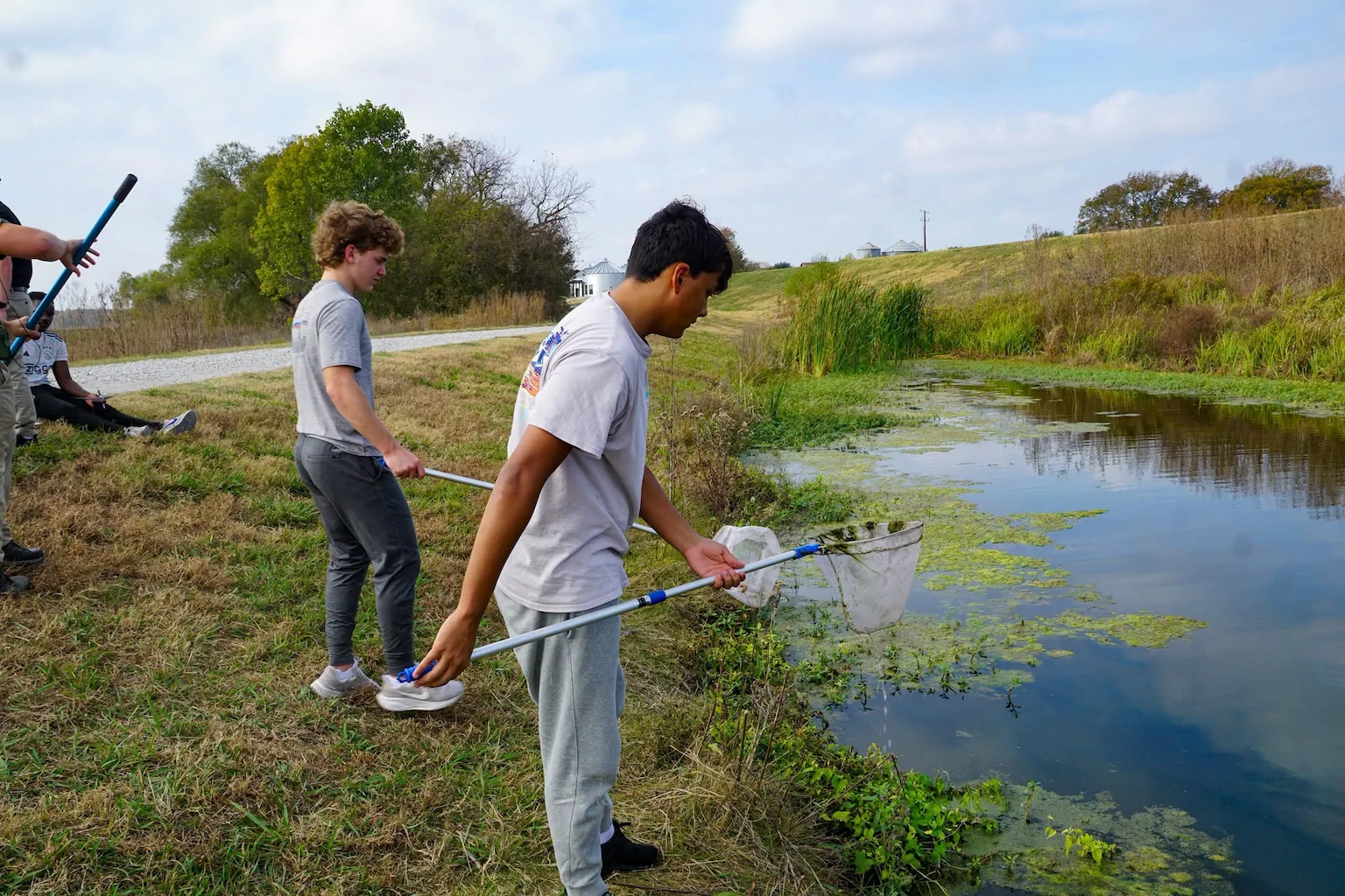 Students gather aquatic samples from the edge of a pond as part of hands-on watershed research.